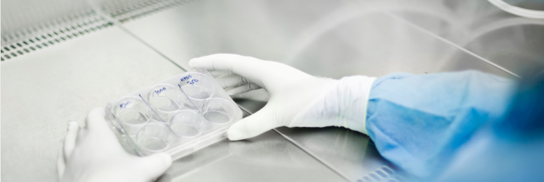 Dłonie w białych rękawiczkach trzymające sprzęt laboratoryjny