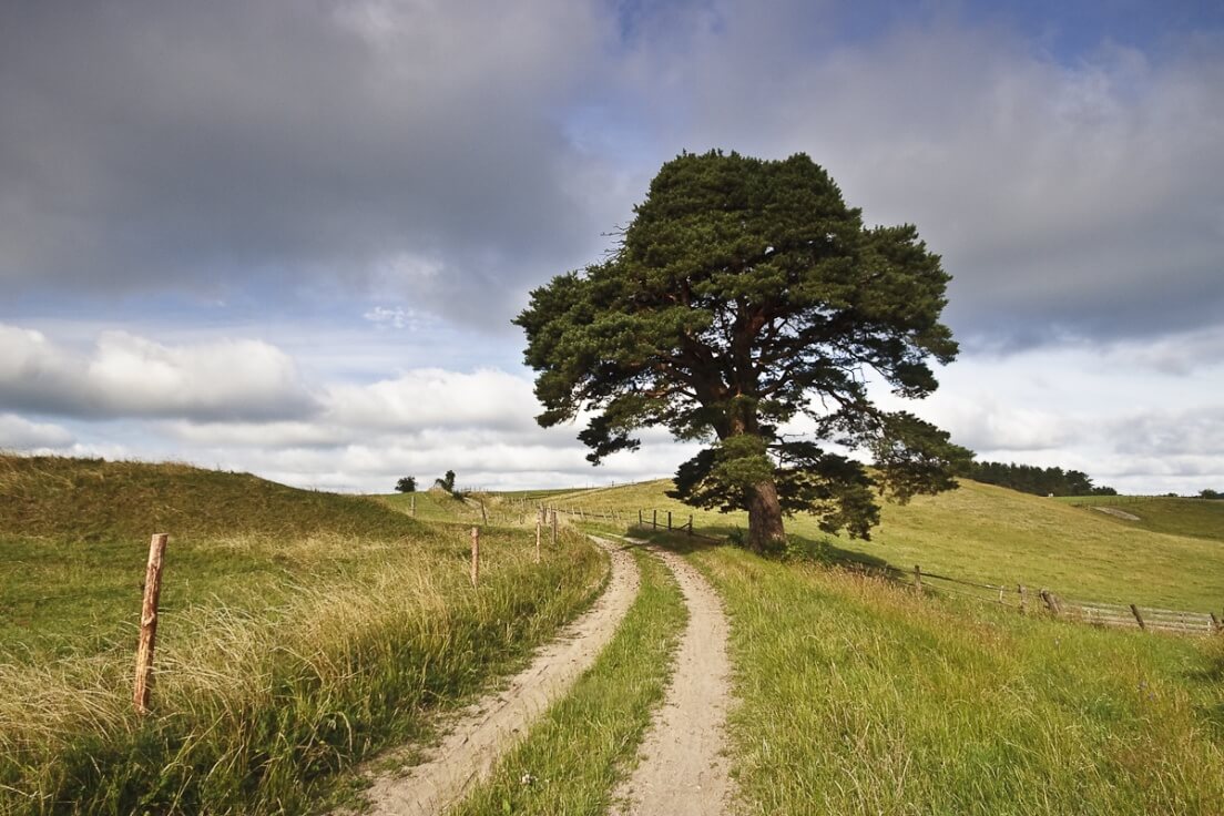 Masurian landscape by Marek Wilczura