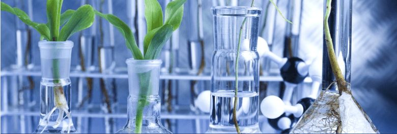 Fiolki laboratoryjne z zielonymi roślinami